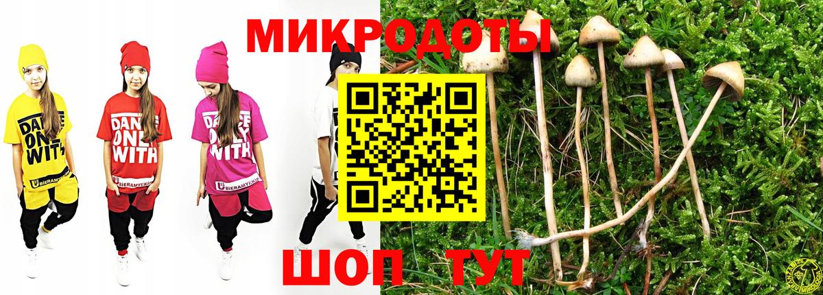 Галлюциногенные грибы мицелий Котовск