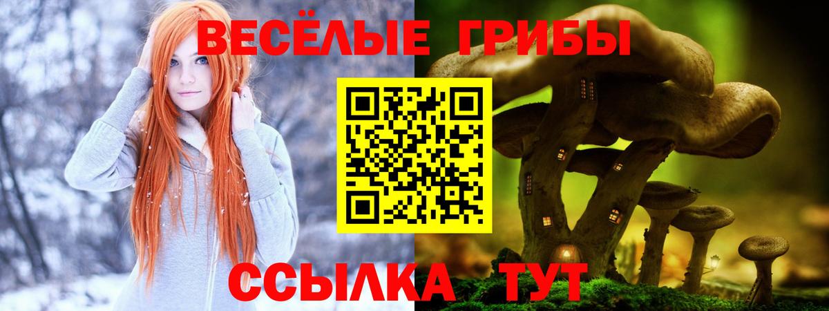 Псилоцибиновые грибы MAGIC MUSHROOMS  Галлюциногенные грибы ЛСД  Вход с VPN  купить   Котовск 